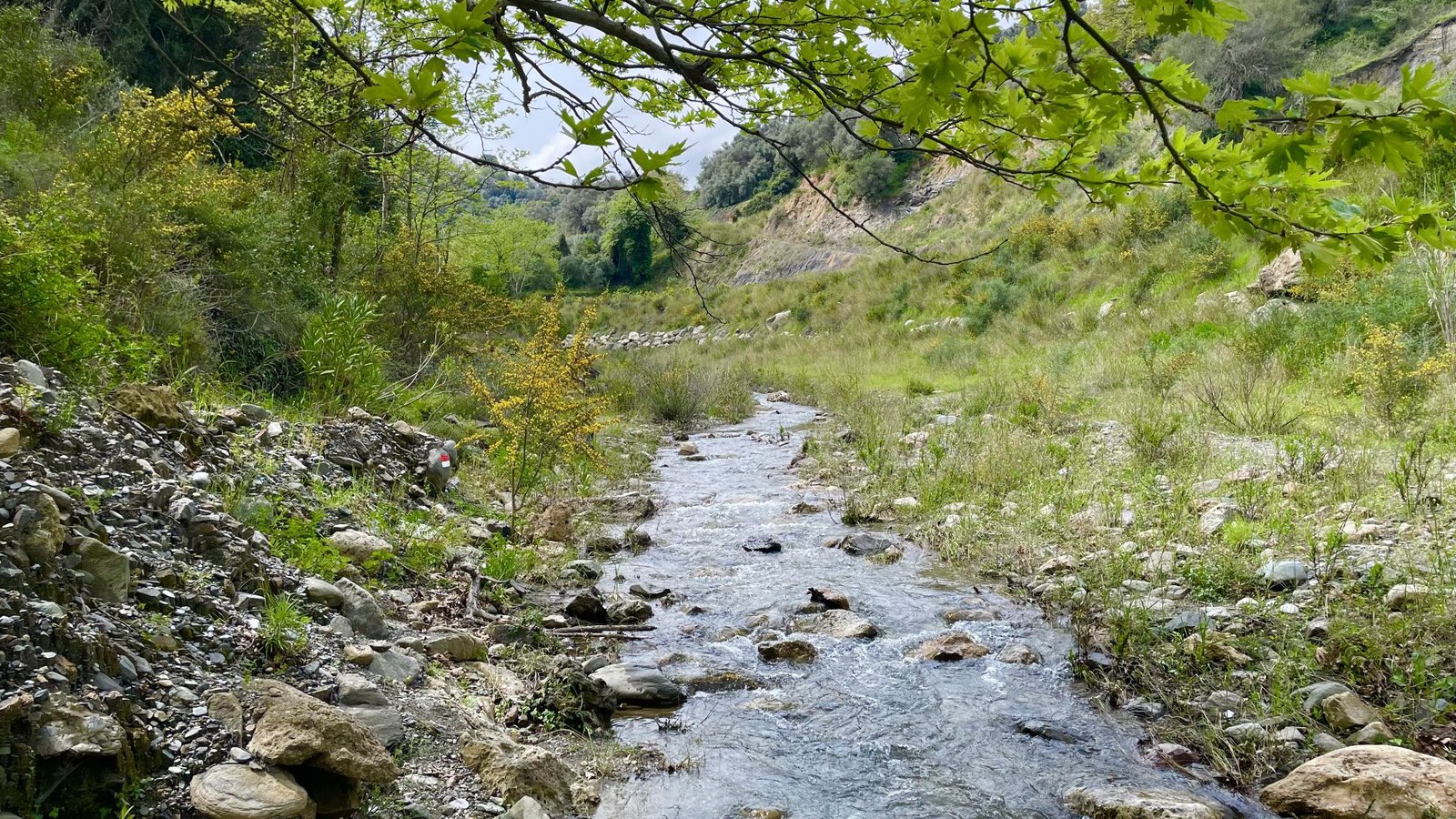 Μποριανό Φαράγγι